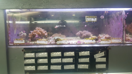 Tropical Fish Store «RMS Aquaculture», reviews and photos, 6629 Engle Rd # 108, Cleveland, OH 44130, USA