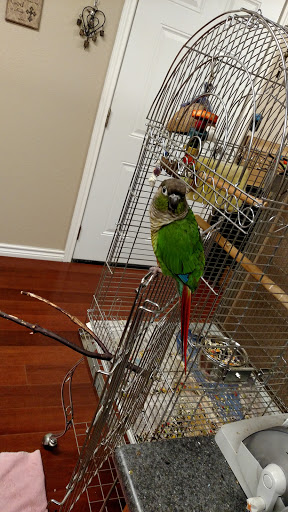 RV Park «Oyster Creek RV Ranch», reviews and photos, 2815 FM 523 Road, Oyster Creek, TX 77541, USA