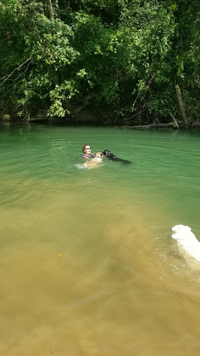 Horseback Riding Service «Long C Trails», reviews and photos, 8959 Hanes Rd, Westmoreland, TN 37186, USA