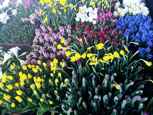 Wholesale Plant Nursery «Garden Fantasy», reviews and photos, 43250 Tyler Rd, Belleville, MI 48111, USA