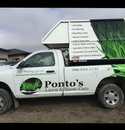 Ponto's Lawn and Snow Care