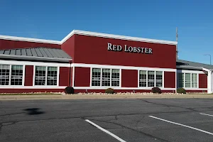 Red Lobster image