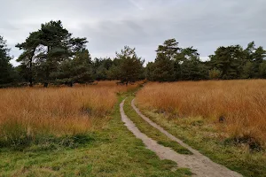 Rozendaalse Veld image