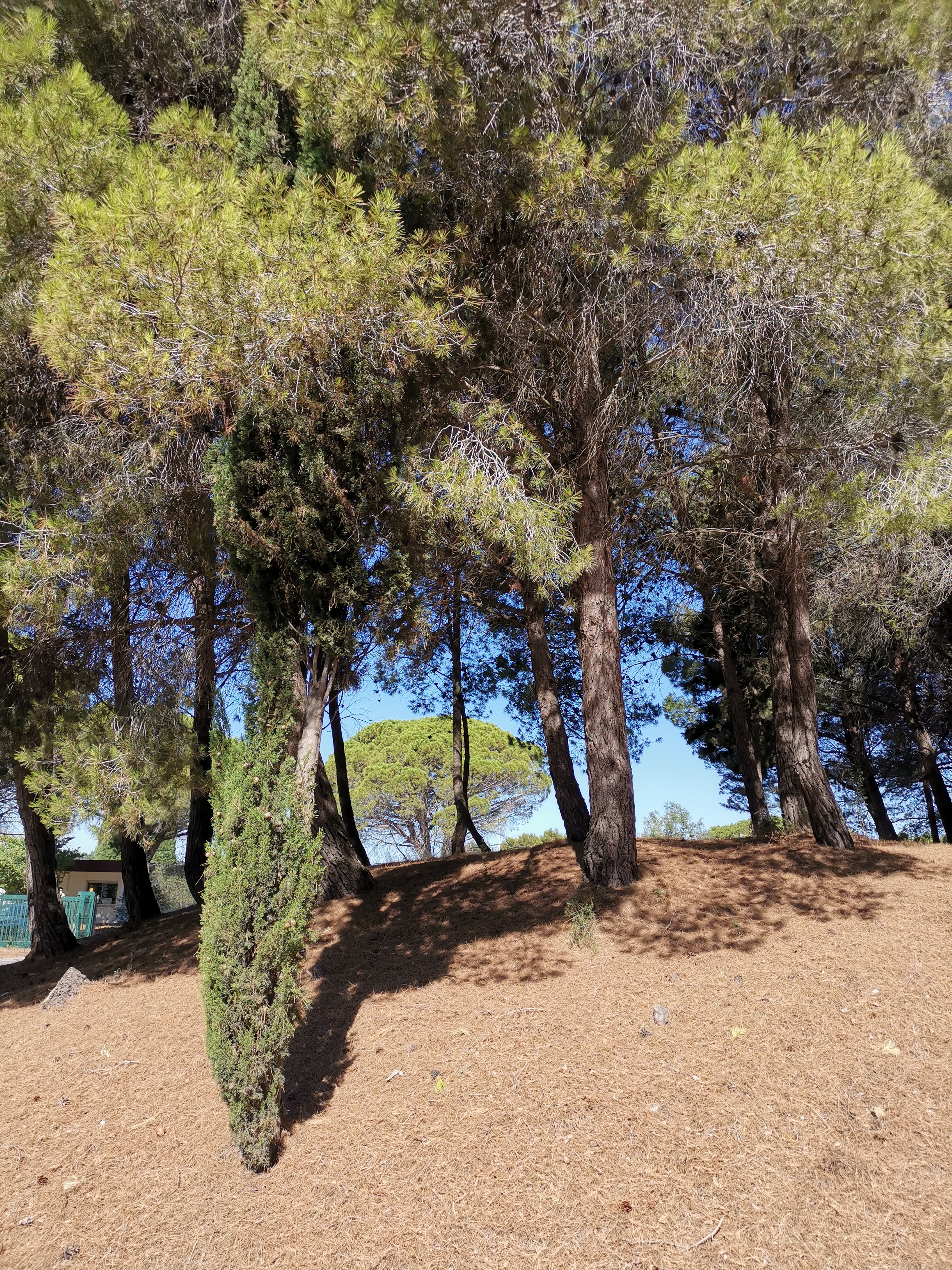 Photo n° 8 de l'avis de Horst.e fait le 14/03/2019 à 14:48