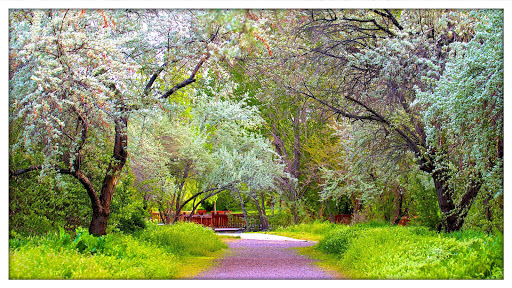 Park «Big Cottonwood Regional Park», reviews and photos, 4300 South 1300 East, Millcreek, UT 84117, USA