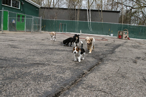 Dog Day Care Center «Play Dog Play Canine Care Center», reviews and photos, 668 Pine St, Burlington, VT 05401, USA