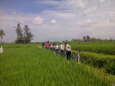 Photos of Bali Breeze Tours