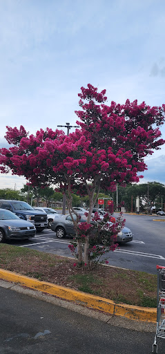 Shopping Mall «Shoppes of Northtowne», reviews and photos, 3501 N Ponce De Leon Blvd, St Augustine, FL 32084, USA