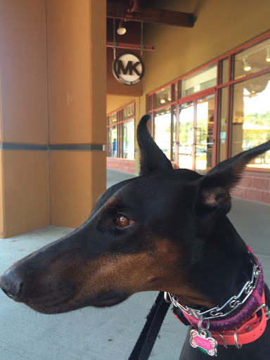 Fashion Accessories Store «Michael Kors», reviews and photos, 5050 Factory Shops Blvd #320, Castle Rock, CO 80108, USA