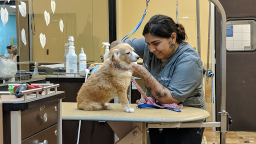 Pet Supply Store «PetSmart», reviews and photos, 3610 Rosecrans St, San Diego, CA 92110, USA