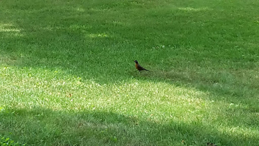 National Park «Herbert Hoover National Historic Site», reviews and photos, 110 Parkside Dr, West Branch, IA 52358, USA