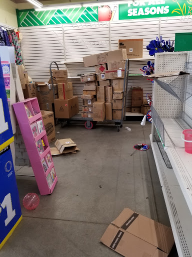 Dollar Store «Dollar Tree», reviews and photos, 912 River St Ste 100, Hyde Park, MA 02136, USA