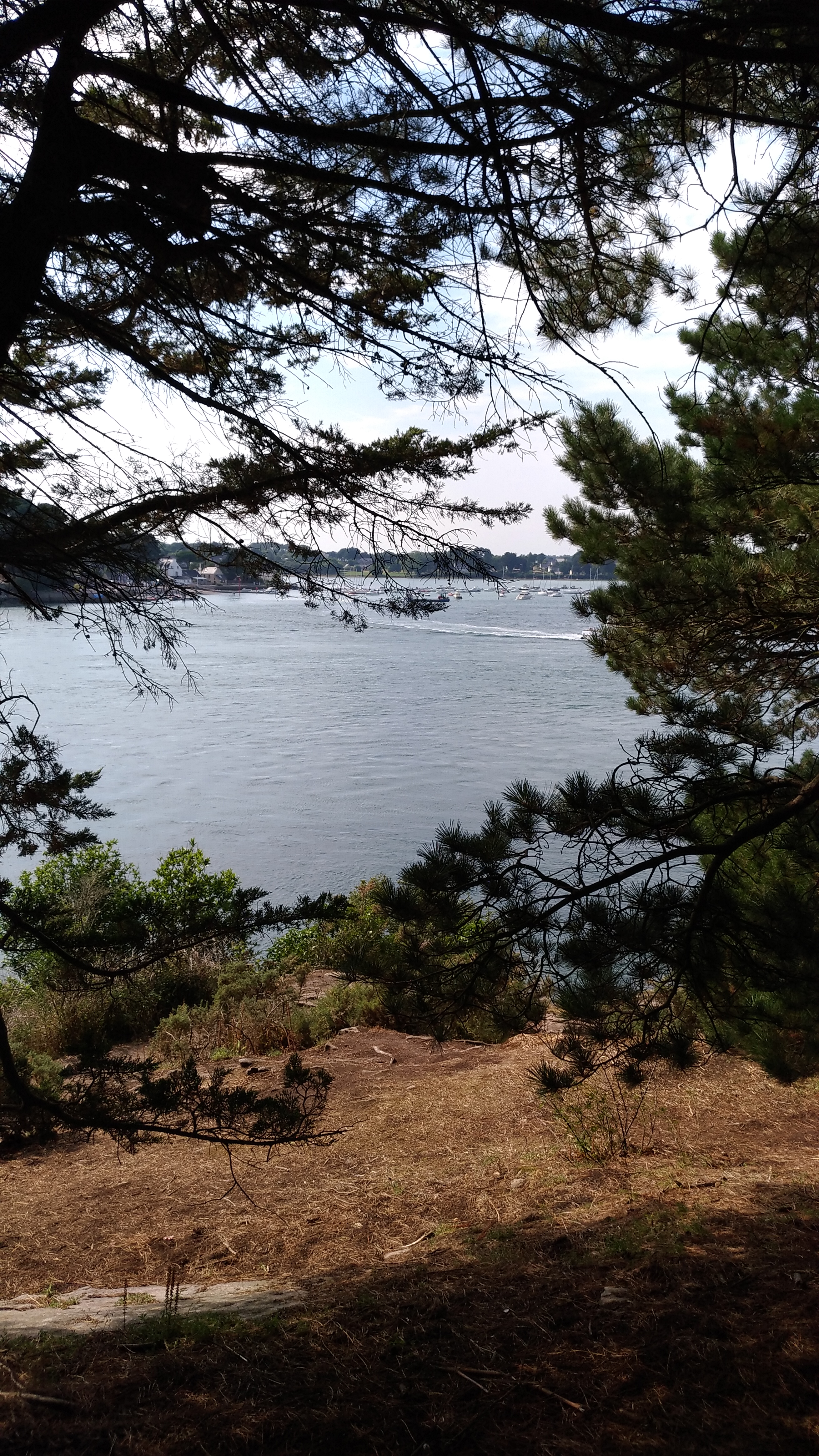 Photo n° 1 de l'avis de Philippe.o fait le 19/07/2017 à 07:38