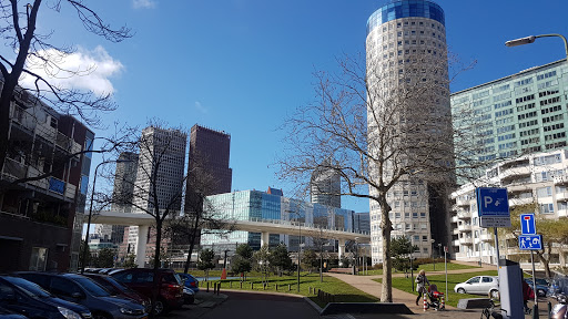 Basketball courts in Rotterdam