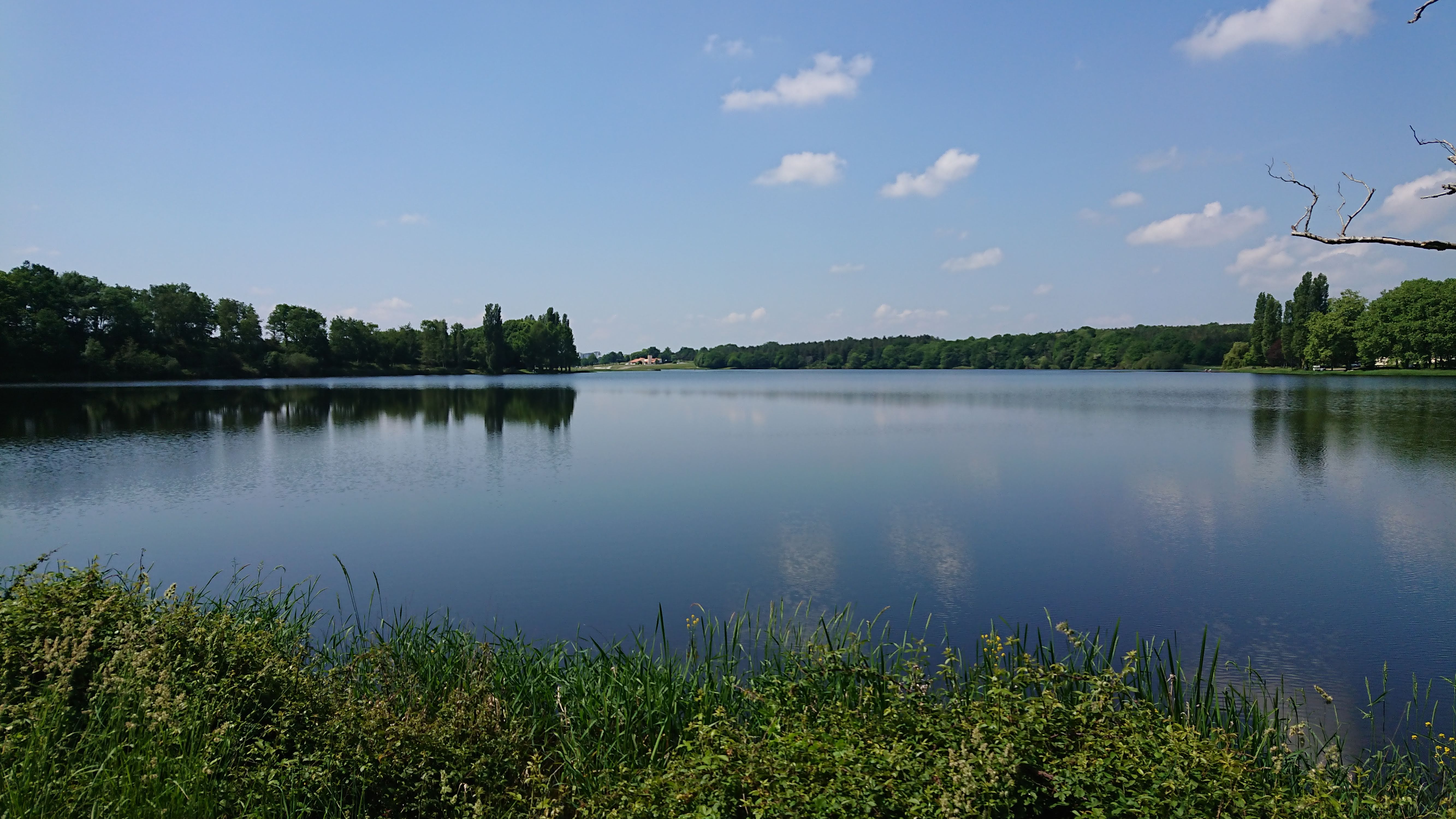 Photo n° 16 de l'avis de Laurent.e fait le 25/05/2018 à 04:39