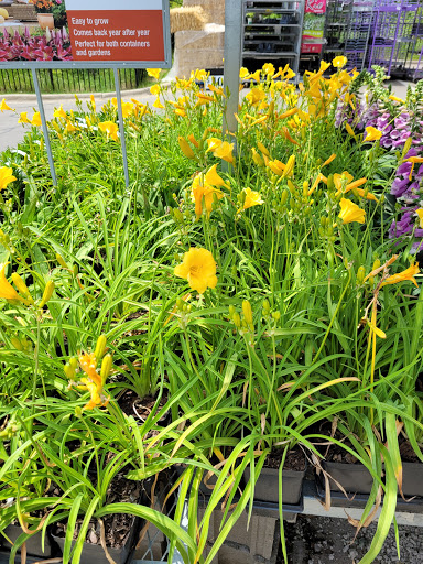 Home Improvement Store «The Home Depot», reviews and photos, 2600 S Lapeer Rd, Lake Orion, MI 48360, USA