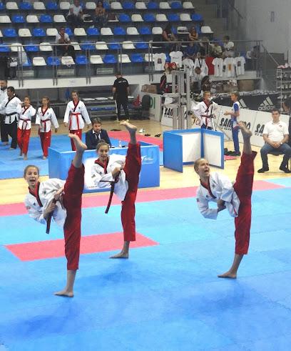 Taekwondo Sports Club Fire-Sofia
