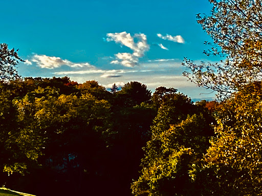 Park «Mack Park», reviews and photos, 31 Grove St, Salem, MA 01970, USA