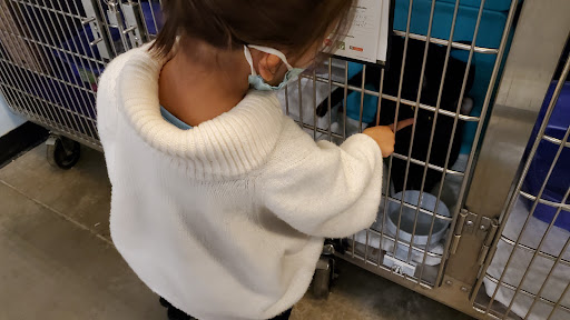 Pet Supply Store «PetSmart», reviews and photos, 1515 US-22, Watchung, NJ 07069, USA