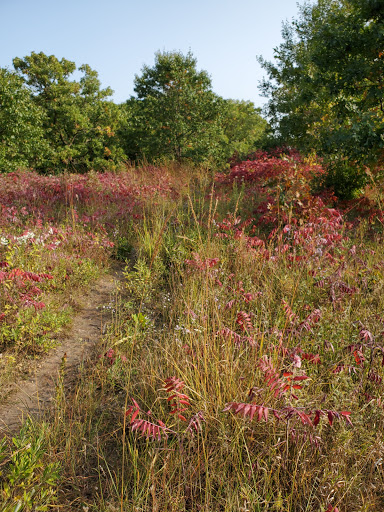 Nature Preserve «St. Croix Savanna Scientific and Natural Area (SNA)», reviews and photos, Osprey Blvd, Bayport, MN 55003, USA