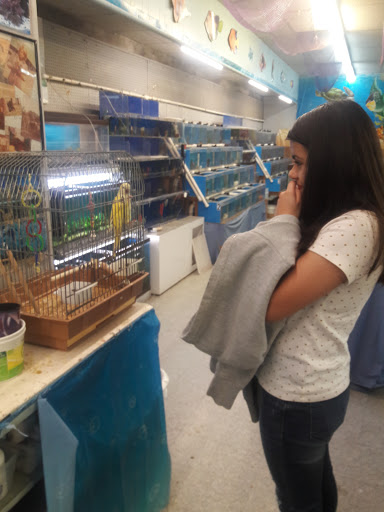 Pond Fish Supplier «Aquarium & Imports Inc.», reviews and photos, 2639 Hendersonville Rd, Arden, NC 28704, USA