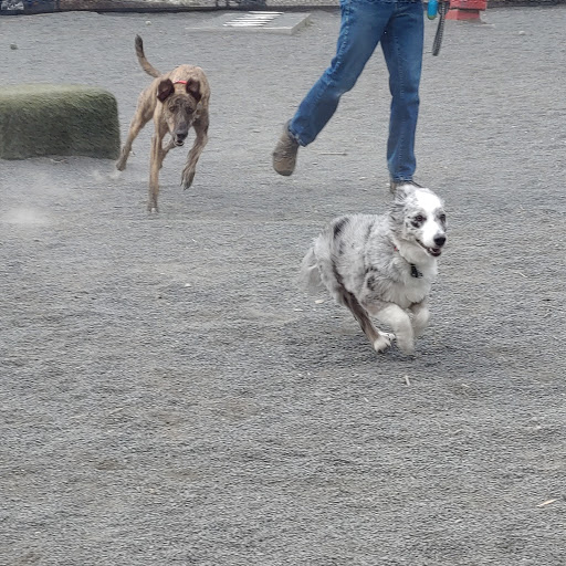 Dog Park «Gateway Dog Park», reviews and photos, 1099 S 4th Ave, Minneapolis, MN 55404, USA