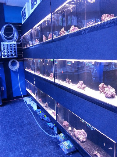 Tropical Fish Store «Reef Oasis», reviews and photos, 7669 Mentor Ave, Mentor, OH 44060, USA