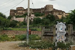 Boraj FORT image