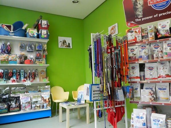 Imagen de Clínica Veterinaria Servet Zamora (1 de 4)