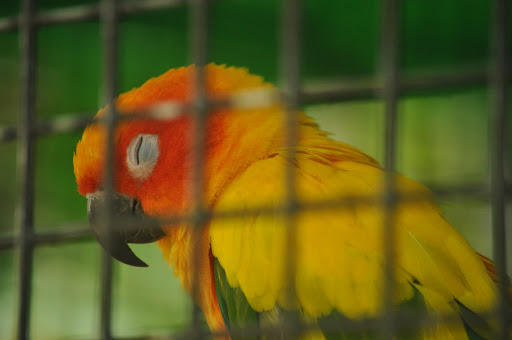 Sightseeing Tour Agency «Jungle Queen Riverboat», reviews and photos, 801 Seabreeze Blvd, Fort Lauderdale, FL 33316, USA