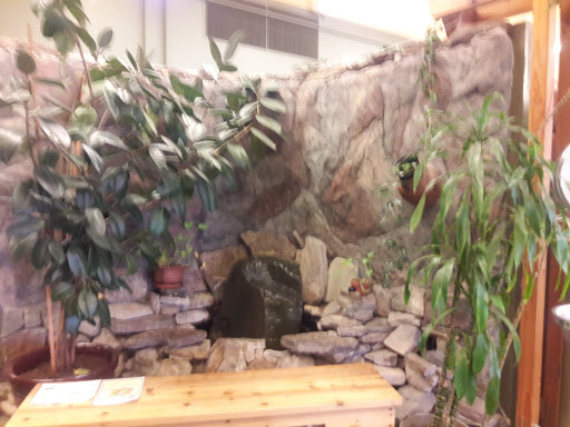 Natural Foods Store «Terra Organic & Natural Foods», reviews and photos, 1530 Cornwall Ave, Bellingham, WA 98225, USA