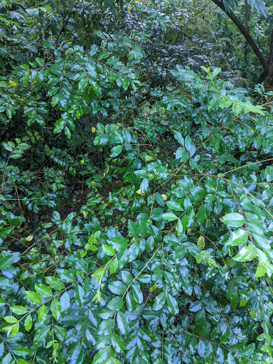 Park «Best Friend Park», reviews and photos, 6224 Jimmy Carter Blvd, Norcross, GA 30071, USA