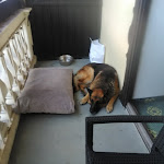 Photo n°2 de l'avis de chevy.h fait le 26/08/2022 à 12:42 sur le  Wittelsbach à Berchtesgaden