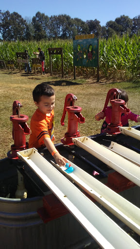 Tourist Attraction «Cajun Country Corn», reviews and photos, 40833 LA-16, Amite City, LA 70422, USA