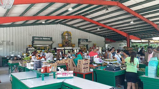 Produce Market «Nelson Family Farms», reviews and photos, 875 W Midway Rd, Fort Pierce, FL 34982, USA