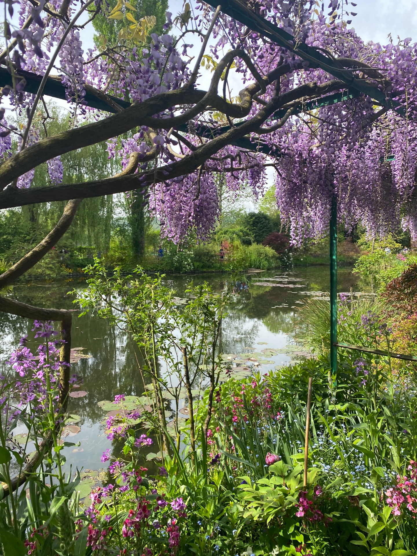 Photo n° 1 de l'avis de lea.a fait le 05/06/2023 à 09:45