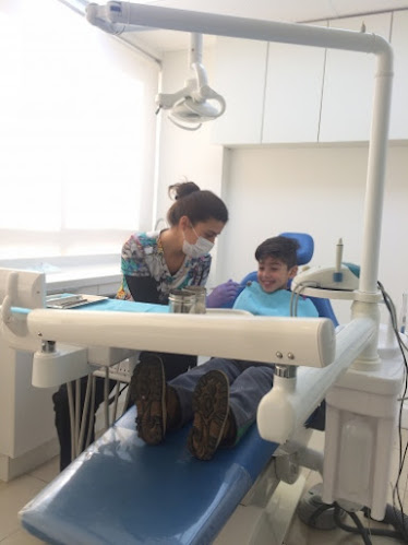 Opiniones de Odont. Jacinta Jamasmie, Dentista en Las Condes - Dentista