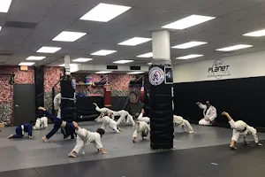 Beverly Hills Jiu-Jitsu Club image