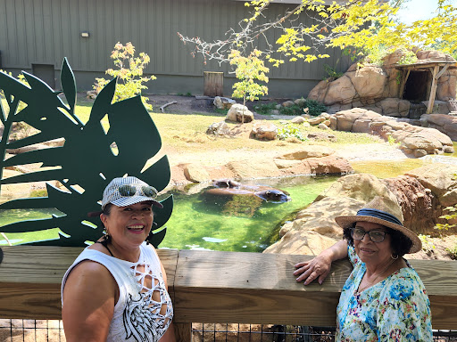 National Park «Guilford Courthouse National Military Park», reviews and photos, 2332 New Garden Rd, Greensboro, NC 27410, USA