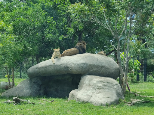 Zoo «Pueblo Zoo», reviews and photos, 3455 Nuckolls Ave, Pueblo, CO 81005, USA