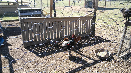 Wedding Venue «Rancho Alegre Farm», reviews and photos, 2225 Givens Rd, Dacula, GA 30019, USA