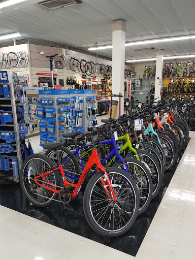 Bicycle Store «Orange Cycle», reviews and photos, 2204 Edgewater Dr, Orlando, FL 32804, USA