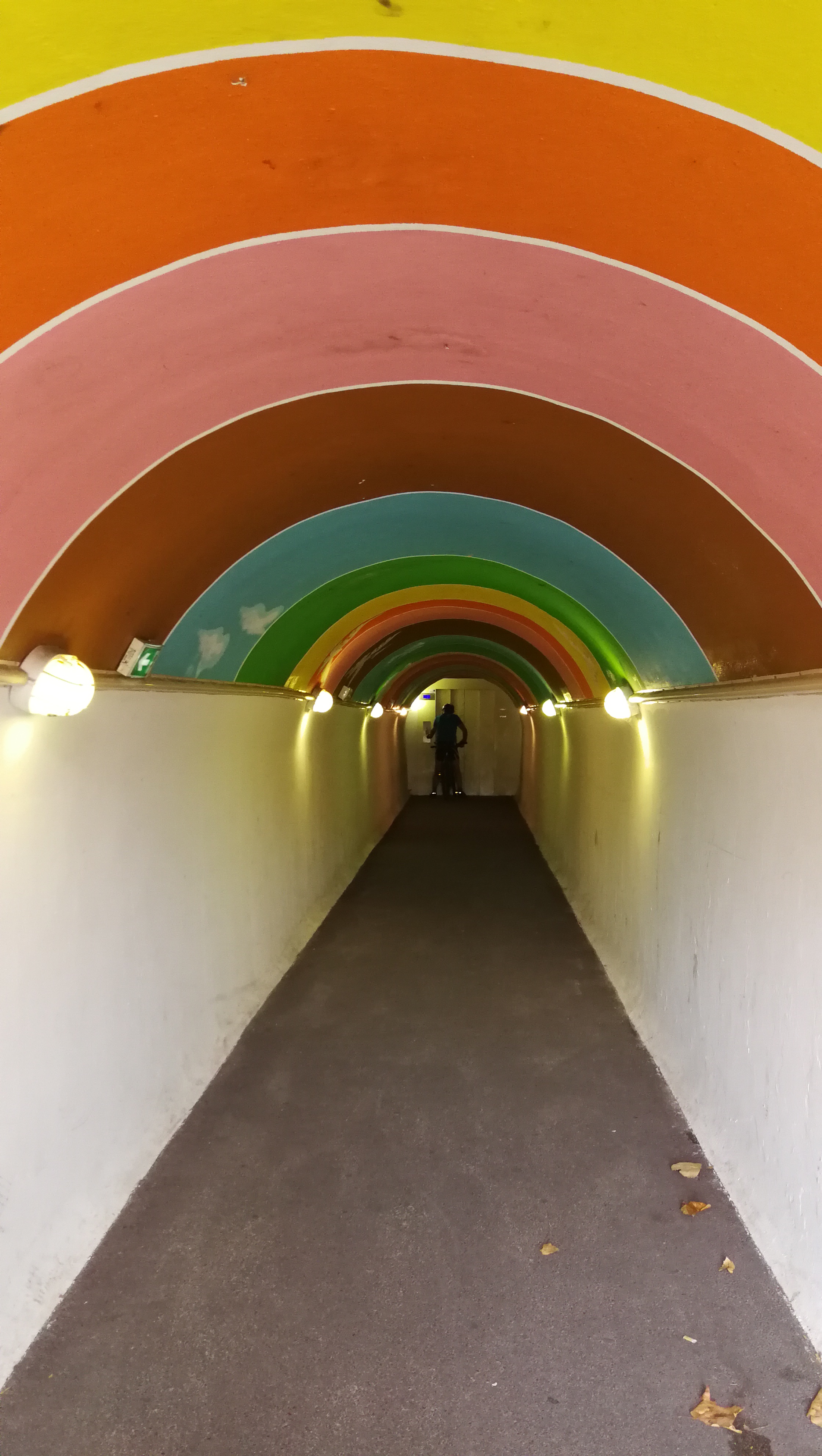 Photo n° 6 de l'avis de Mimi.e fait le 20/10/2018 à 19:33