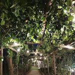 Photo n°6 de l'avis de Csaba.a fait le 13/01/2024 à 15:20 sur le  La Limonaia à Sorrento