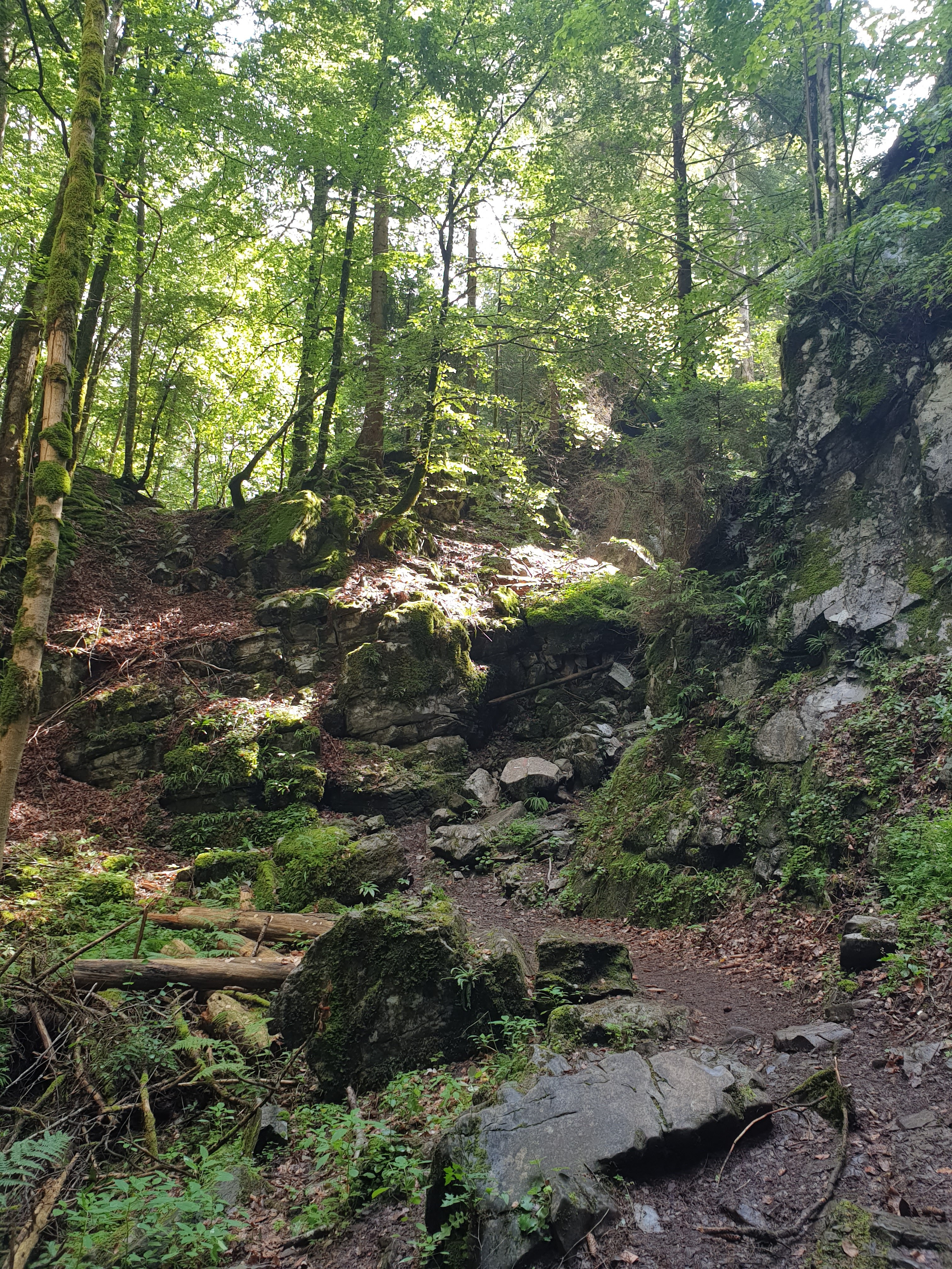 Photo n° 21 de l'avis de Gilles.H fait le 22/07/2020 à 15:28