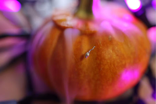 Explore paul walker tattoo ideas, creative tattoo ideas in Toledo, available at Piercings by Caitlin presents Holier Toledo