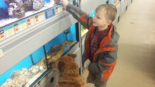 Shopping Mall «Green Mountain Shopping Plaza Shopping Center», reviews and photos, 241 S Main St, Rutland, VT 05701, USA