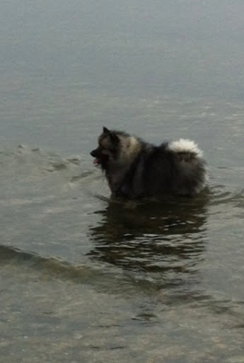 Pet Supply Store «Pet Quarters», reviews and photos, 486 Payne Rd, Scarborough, ME 04074, USA