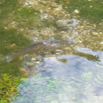 Photo n°2 de l'avis de Ilona.r fait le 04/10/2019 à 09:31 sur le  Wimsener Höhle (Tress Gastronomie GmbH & Co. KG) à Hayingen