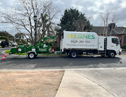 Milone's Tree and Lawn Solutions